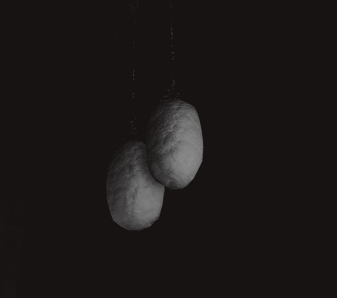 Cocoons hanging from the Brace of Elphael